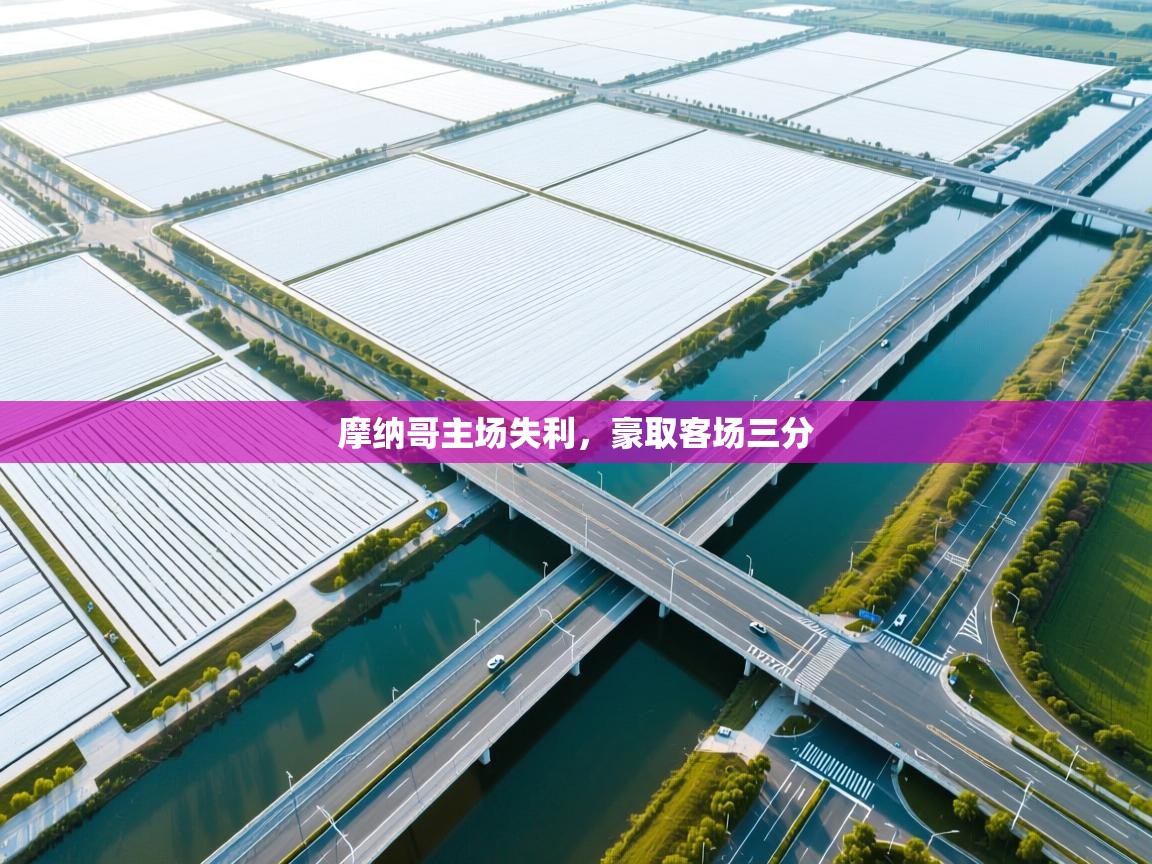 摩纳哥主场失利,豪取客场三分 第1张