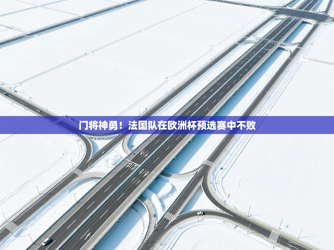 门将神勇！法国队在欧洲杯预选赛中不败  第1张