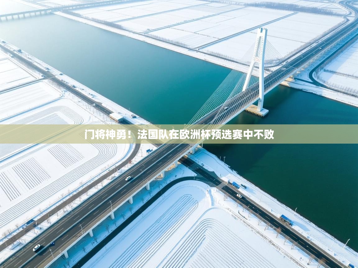 门将神勇！法国队在欧洲杯预选赛中不败  第2张