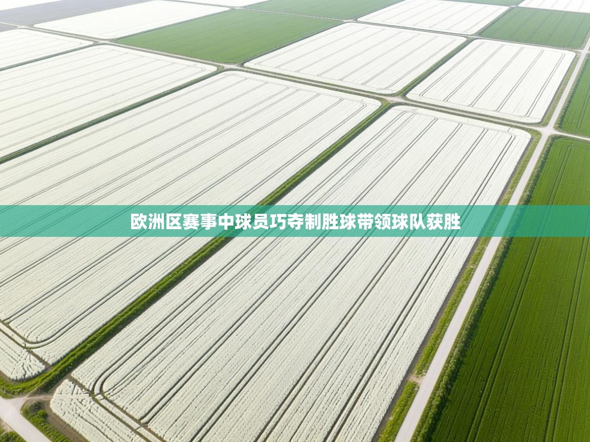 欧洲区赛事中球员巧夺制胜球带领球队获胜  第2张