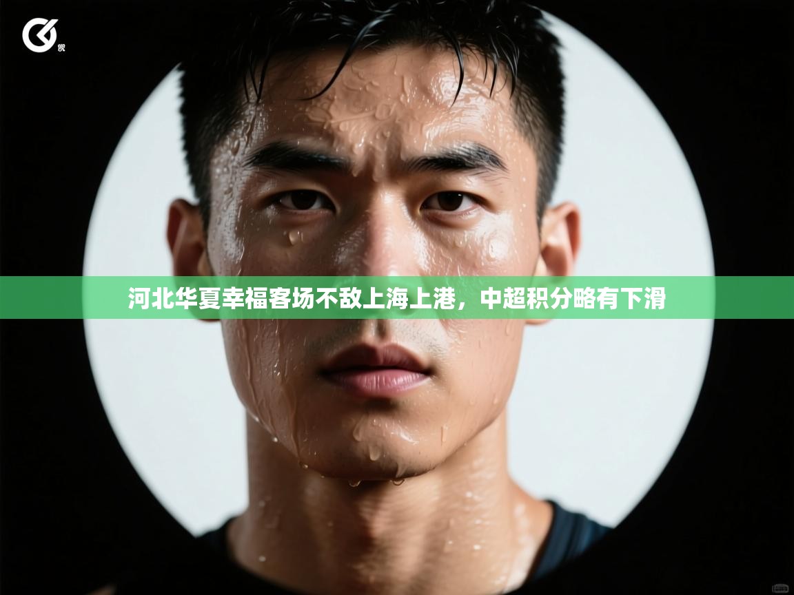 河北华夏幸福客场不敌上海上港，中超积分略有下滑  第2张