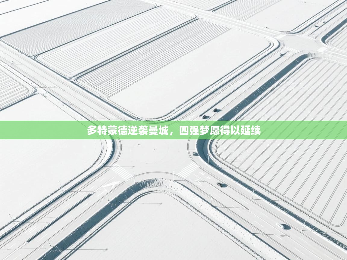 多特蒙德逆袭曼城，四强梦愿得以延续  第2张