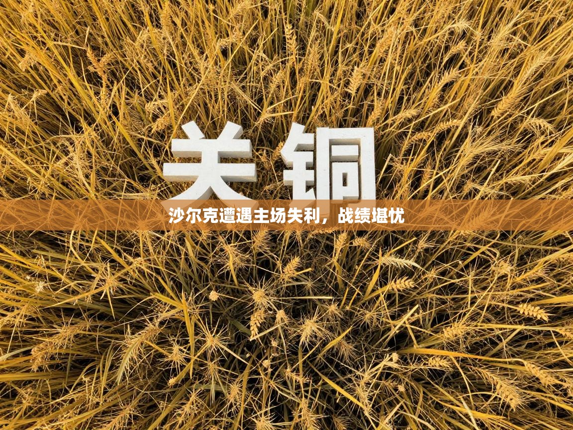 沙尔克遭遇主场失利，战绩堪忧  第2张