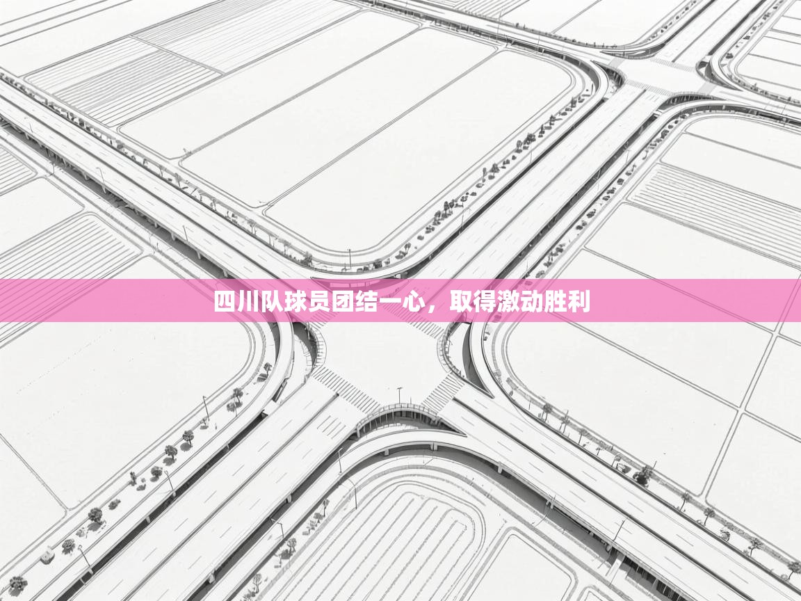 四川队球员团结一心,取得激动胜利 第2张